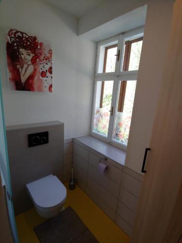 a bathroom with a toilet and a window at Ferienhaus zur Opernsängerin in Hartberg