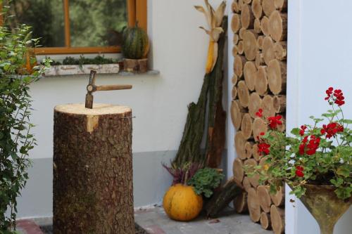 a tree stump with a hammer on it next to plants at Ferienhäuschen Gruber in Loosdorf