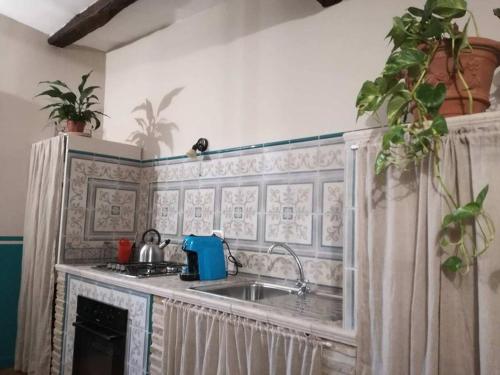 eine Küche mit einer Spüle und einer Arbeitsplatte in der Unterkunft sacrobosco apartment Quercia in Bomarzo