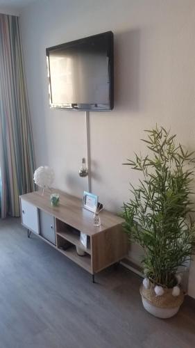 Sea view La Palme d'Azur apartment steps away from the beach and perfect for holidays & business trips