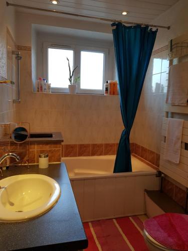 une salle de bain avec une baignoire et un lavabo dans l'établissement le wineck, à Colmar