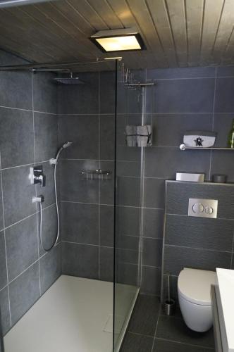 een douche met een glazen deur in de badkamer bij Bannwaldseestudio in Halblech
