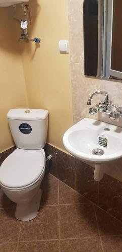 a bathroom with a toilet and a sink at Park-Hotel Khoren's Lake in Areni