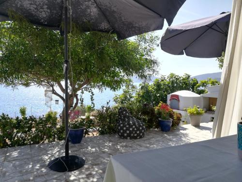 Gallery image of Sylvia's houses in Kalymnos