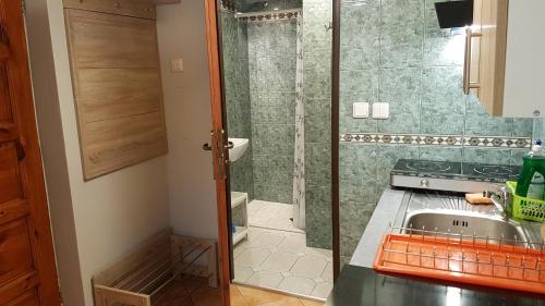 La petite salle de bains est pourvue d'une douche et d'un lavabo. dans l'établissement Noclegi Silesia, à Tychy
