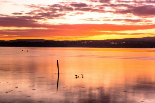 um pôr-do-sol num lago com dois patos na água em Sunshine Hostel na Foz do Arelho