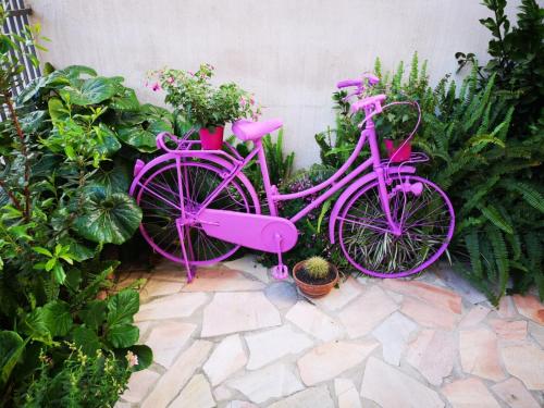 Una bicicleta rosa estacionada junto a una pared con plantas en I Quattroventi, en Muravera