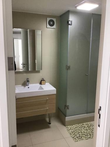 a bathroom with a sink and a shower at Moderno departamento Miraflorino con aire acondicionado in Lima