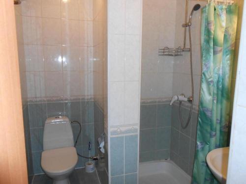 a bathroom with a toilet and a shower and a sink at Zhibek Zholy Hotel in Astana