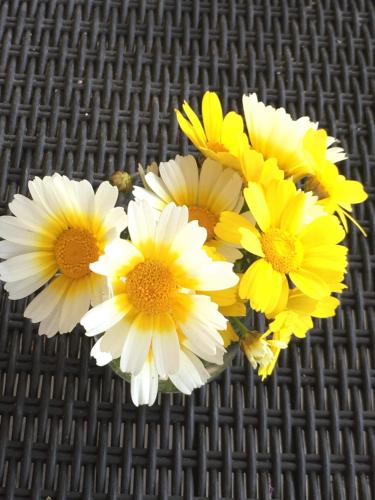a group of yellow and white flowers sitting on a table at Mariaeva Rooms in Léntas