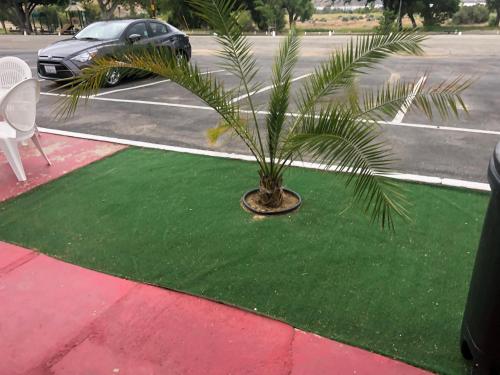 Φωτογραφία από το άλμπουμ του Mount-N-Lake Motel σε Wofford Heights