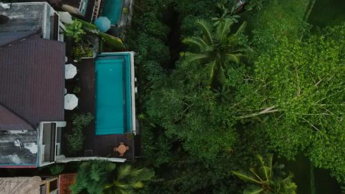 an overhead view of a pool in a forest of trees at River Sakti Ubud by Prasi in Ubud