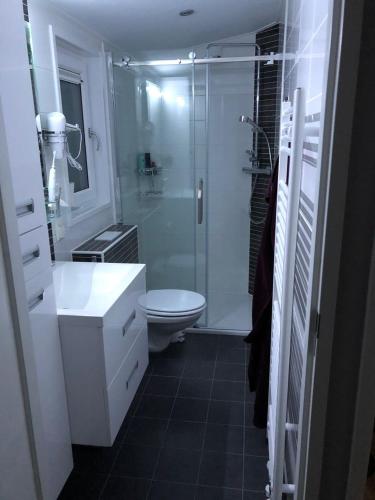 a bathroom with a shower and a sink and a toilet at Chalet SOL Y MAR in Renesse