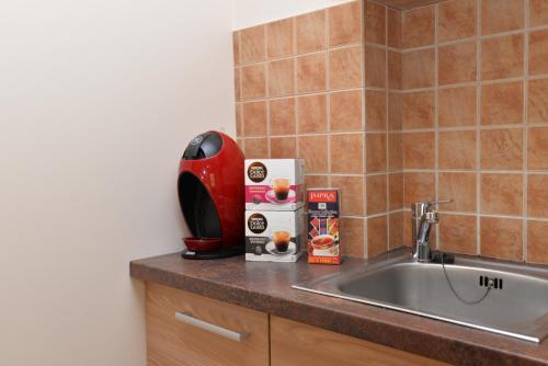 a kitchen counter with a sink and a red appliance at Preiloje pas Žilviną in Neringa