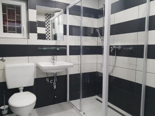 een badkamer met een toilet, een wastafel en een douche bij Picurka Apartman in Siófok