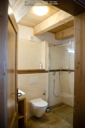 a bathroom with a toilet and a shower at Quota 1010 in Starý Smokovec