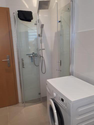 a bathroom with a shower and a washing machine at Ferienhaus Ixheim Bitscher Str.70 in Zweibrücken