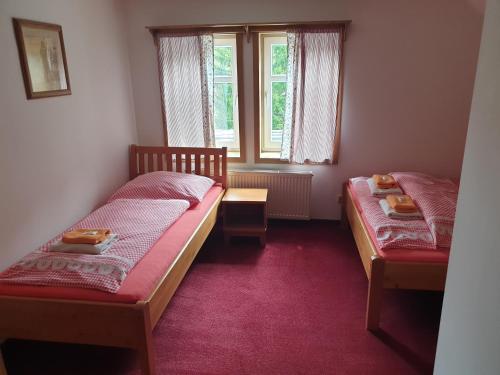 two beds in a small room with a window at Penzion Marienka in Pec pod Sněžkou