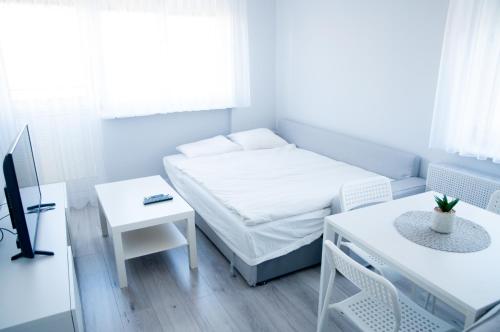 Posteľ alebo postele v izbe v ubytovaní Apartament Wiesio