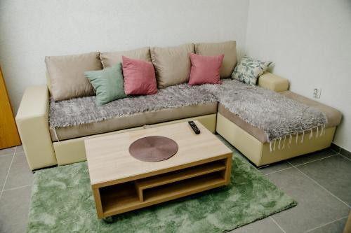 a living room with a couch with pillows on it at Apartment Silence in Pluzine