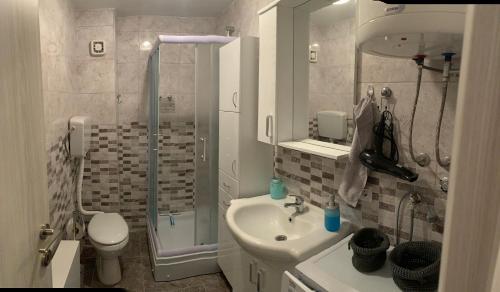 La salle de bains est pourvue d'une douche, d'un lavabo et de toilettes. dans l'établissement Apartment Rena, à Budva