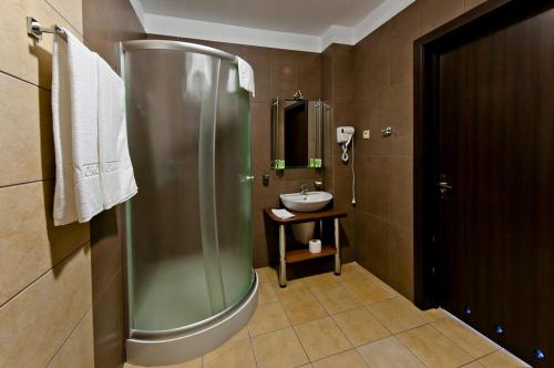 W łazience znajduje się prysznic i umywalka. w obiekcie Hotel Borowina w mieście Konstancin-Jeziorna