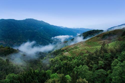 a view of a mountain with trees and clouds at Baike Boutique Hotel in Longsheng