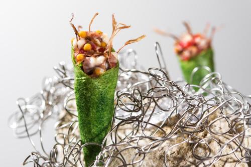 a close up of a plant with some food at Boutique Hotel Boškinac in Novalja