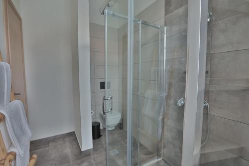 a bathroom with a glass shower with a toilet at Ederlezi Boutique Hotel in Athens