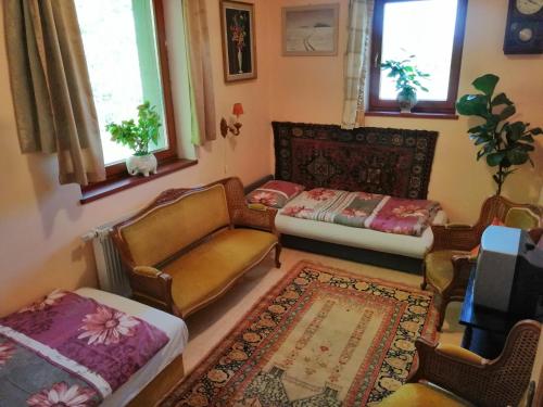 a living room with a couch and a bed at Vízaknai Apartmanház in Székesfehérvár