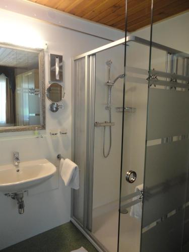 a bathroom with a shower and a sink at Walch's Camping & Landhaus in Braz
