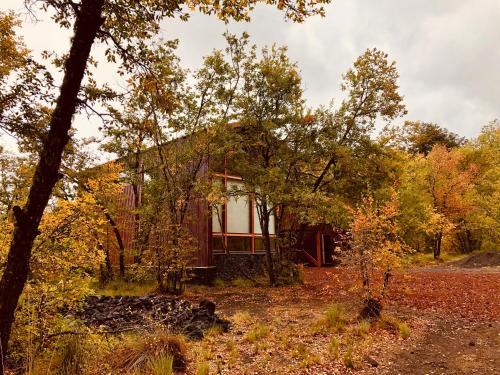 a house in the woods with trees at Chalet Ciprés in Las Trancas