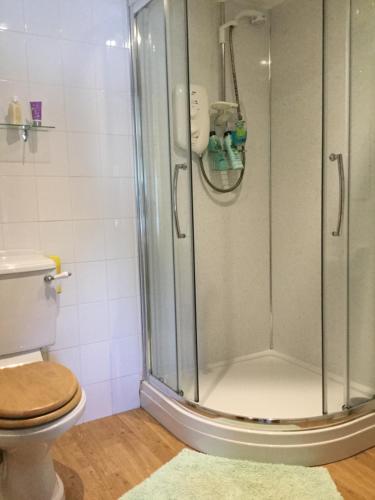 a bathroom with a shower with a toilet at Li’le Hullets, 3 Seed Howe Cottages in Staveley