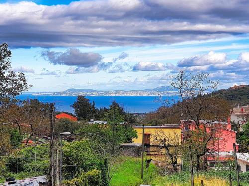 Il Nespolo – Photos 2