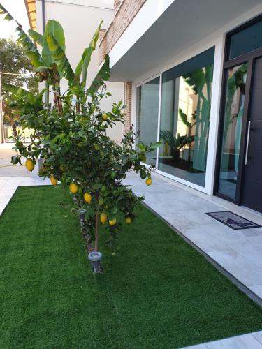 la casa dei limoni – Photos 2