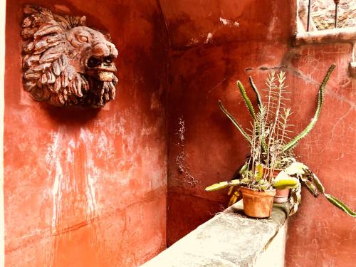 a statue of a lion on a wall with plants at Casa Eugenia Hotel in Morelia