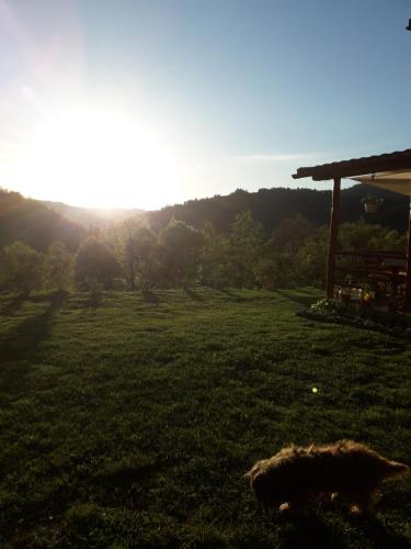 Gallery image of Casa cu Muscate in Cîmpeni