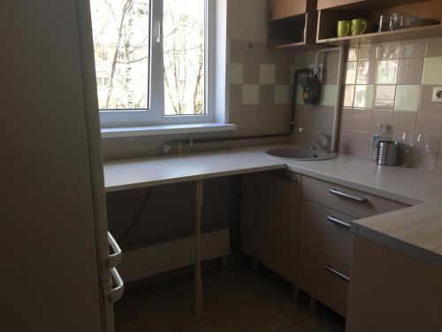een kleine keuken met een wastafel en een raam bij Lattino pietura in Rīga