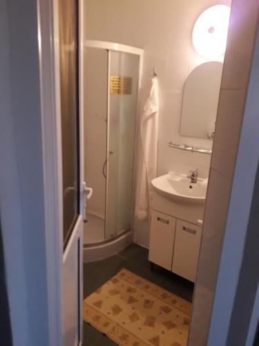 un baño con ducha y lavabo en Westmotelrestaurant, en Pădurea Urziceni