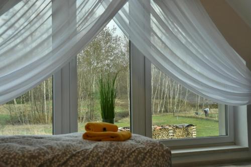 a stuffed animal sitting on a bed in front of a window at Apartamenty Akacjowa Villa106 in Nędza