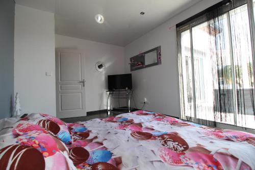 Televisyen dan/atau pusat hiburan di Villa Ancolie climatisée avec piscine chauffée de mai à septembre