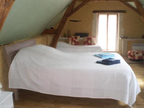 a bedroom with a white bed in a attic at Le Moulin de Monternault in Montreuil-le-Henri
