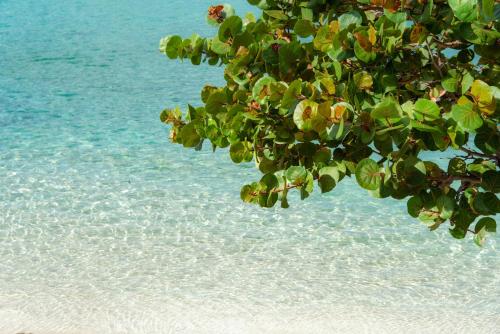 Grand Case Beach Club غراند كيس أحدث أسعار 2021