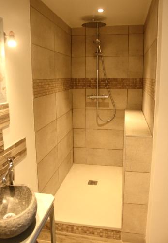 a bathroom with a shower with a sink at Le clos Darwin - chambres d'hôtes in Brin-sur-Seille