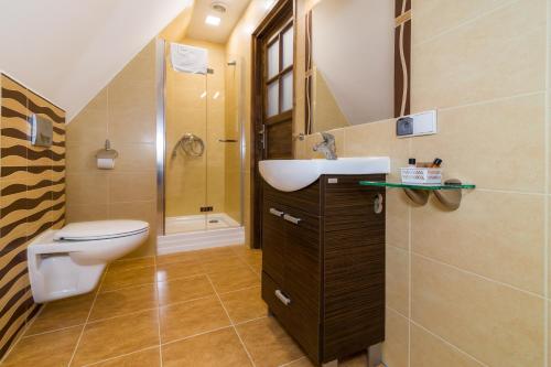 a bathroom with a sink and a toilet and a shower at Apartamenty Asia Basia in Kudowa-Zdrój