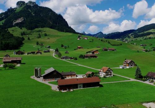 a large green field with houses and mountains at Wies in Stein