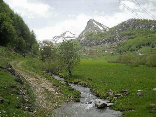 a river in a field with mountains in the background at Katun Mokra accommodation & horseback riding in Podgorica