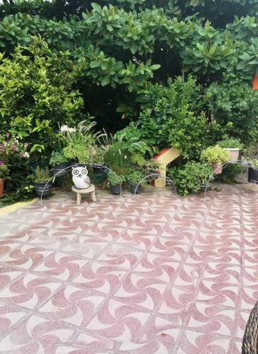a panda bear sitting on a bench in a garden at Happiness Farm in Hatta