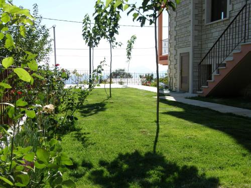 a row of trees in the yard of a house at Xenonas Kypseli in Kipseli