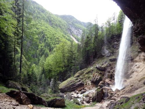 a waterfall in the middle of a forest at The OldMillhouse in Mojstrana